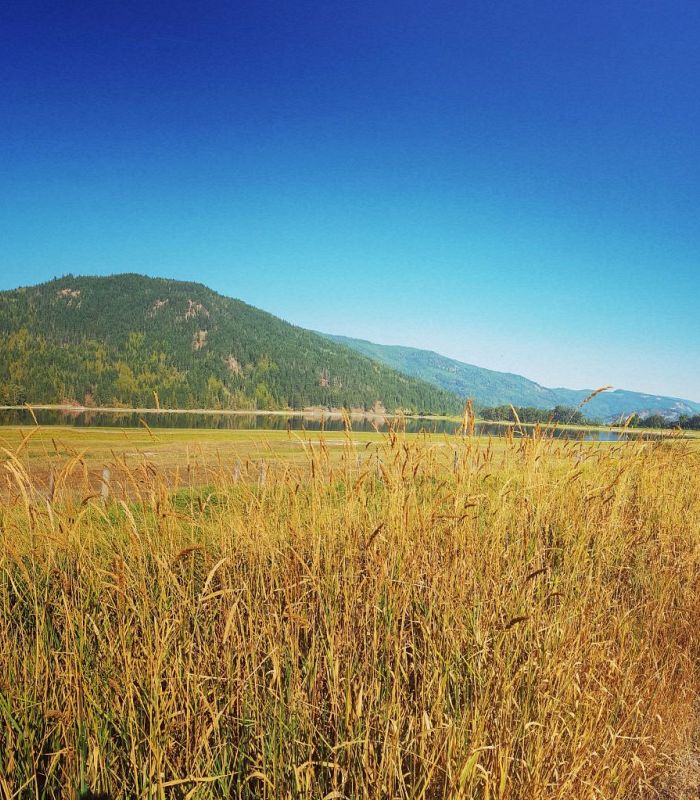 Sicamous-to-Armstrong Rail Trail planning proceeds with public information displays, agricultural meetings