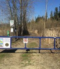 Salmon Arm Bay Foreshore Trail Closed to Dogs during critical nesting season